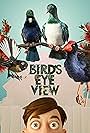 Bird's Eye View (2022)
