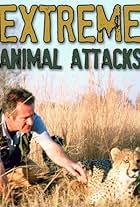 Extreme Animal Attacks