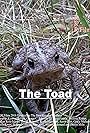 The Toad (2019)