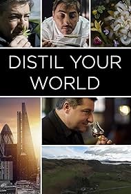 Distil Your World (2020)