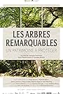 Les arbres remarquables - Un patrimoine à protéger (2019)