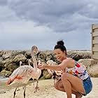 My first time touching a flamingo on flamingo island-bts of filming a movie!