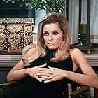 Sharon Tate in Valley of the Dolls (1967)