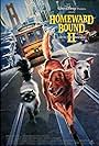 Michael J. Fox, Sally Field, and Ralph Waite in Homeward Bound II: Lost in San Francisco (1996)