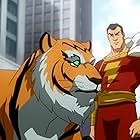 Superman/Shazam!: The Return of Black Adam (2010)