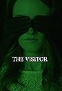 The Visitor (2017)