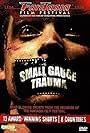 Small Gauge Trauma (2006)
