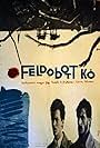 Feldobott kö (1969)