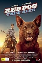 Levi Miller in Red Dog: True Blue (2016)