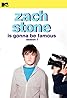 Zach Stone Is Gonna Be Famous (TV Series 2013) Poster