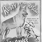 Ted Donaldson, Stephen Dunne, and Flame in Rusty Saves a Life (1949)