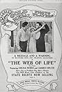 The Web of Life (1917)