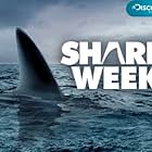 Shark Week (1987)