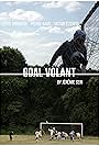 Goal volant (2017)