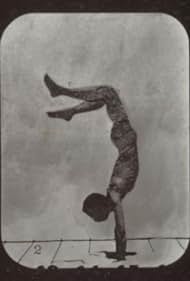 Athlete Flip Flap (1881)