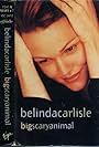 Belinda Carlisle: Big Scary Animal, UK Version (1993)