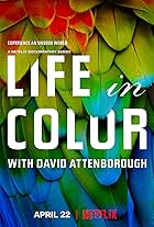 Life in Colour (2021)