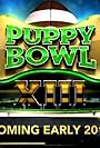 Puppy Bowl XIII (2017)