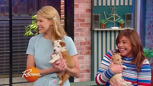 Beth Stern visits with the cutest puppies you've ever seen in honor of national adopt-a-shelter-pet-day.