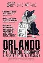 Orlando: My Political Biography