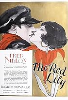 The Red Lily