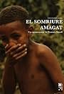 El somriure amagat (2011)