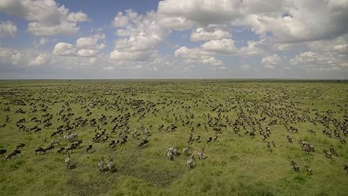 Incredible Animal Journeys: Main Title