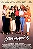 Steel Magnolias (1989) Poster