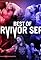 The Best of WWE: Best of Survivor Series's primary photo