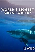World's Biggest Great White Shark (2019)