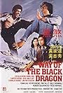 Way of the Black Dragon (1978)