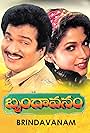 Brindavanam (1992)