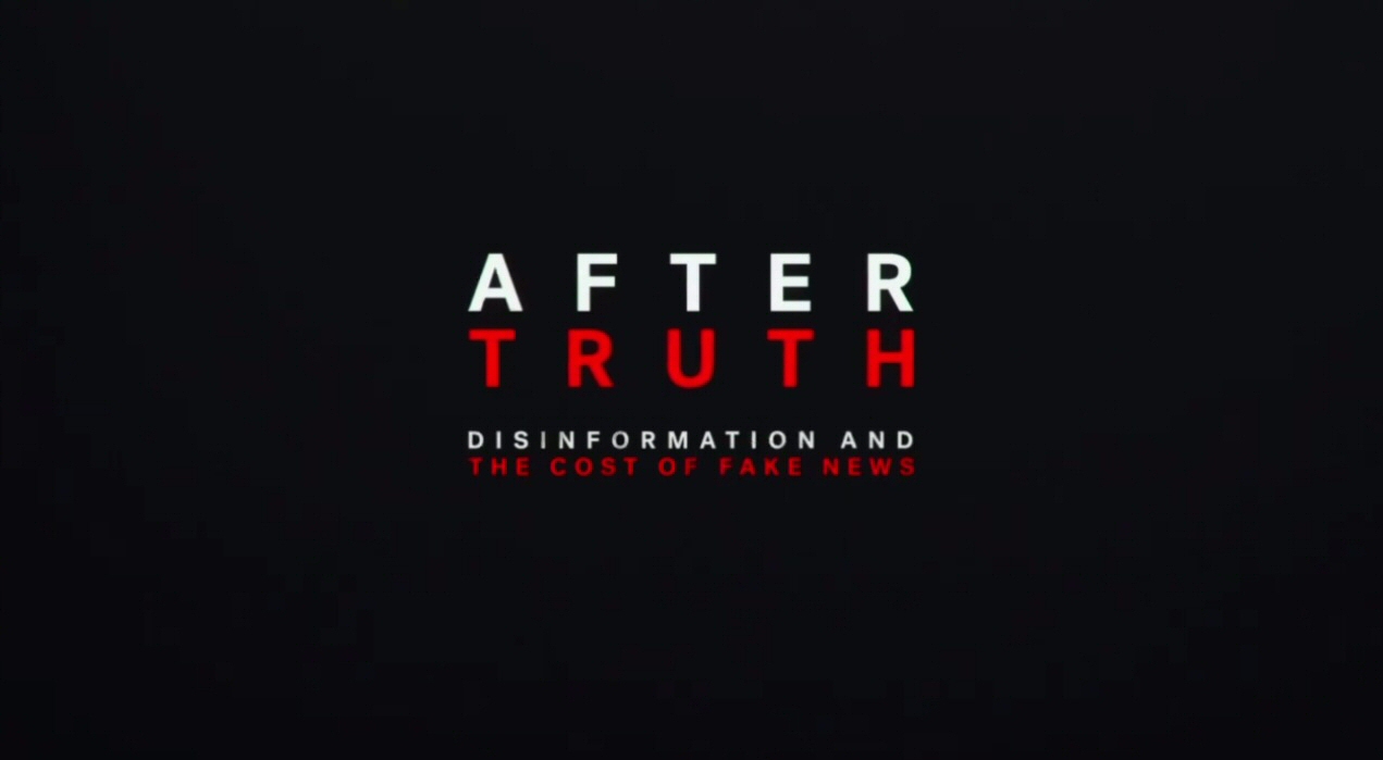 After Truth: Disinformation and the Cost of Fake News (2020)