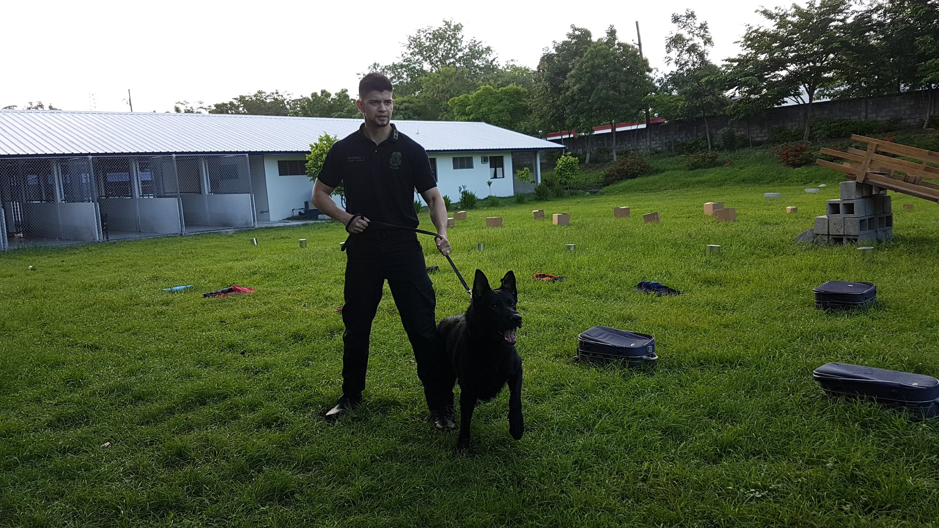 Rayver Cruz and Argo in K9 (2018)