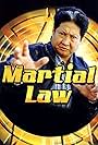 Sammo Kam-Bo Hung in Martial Law (1998)