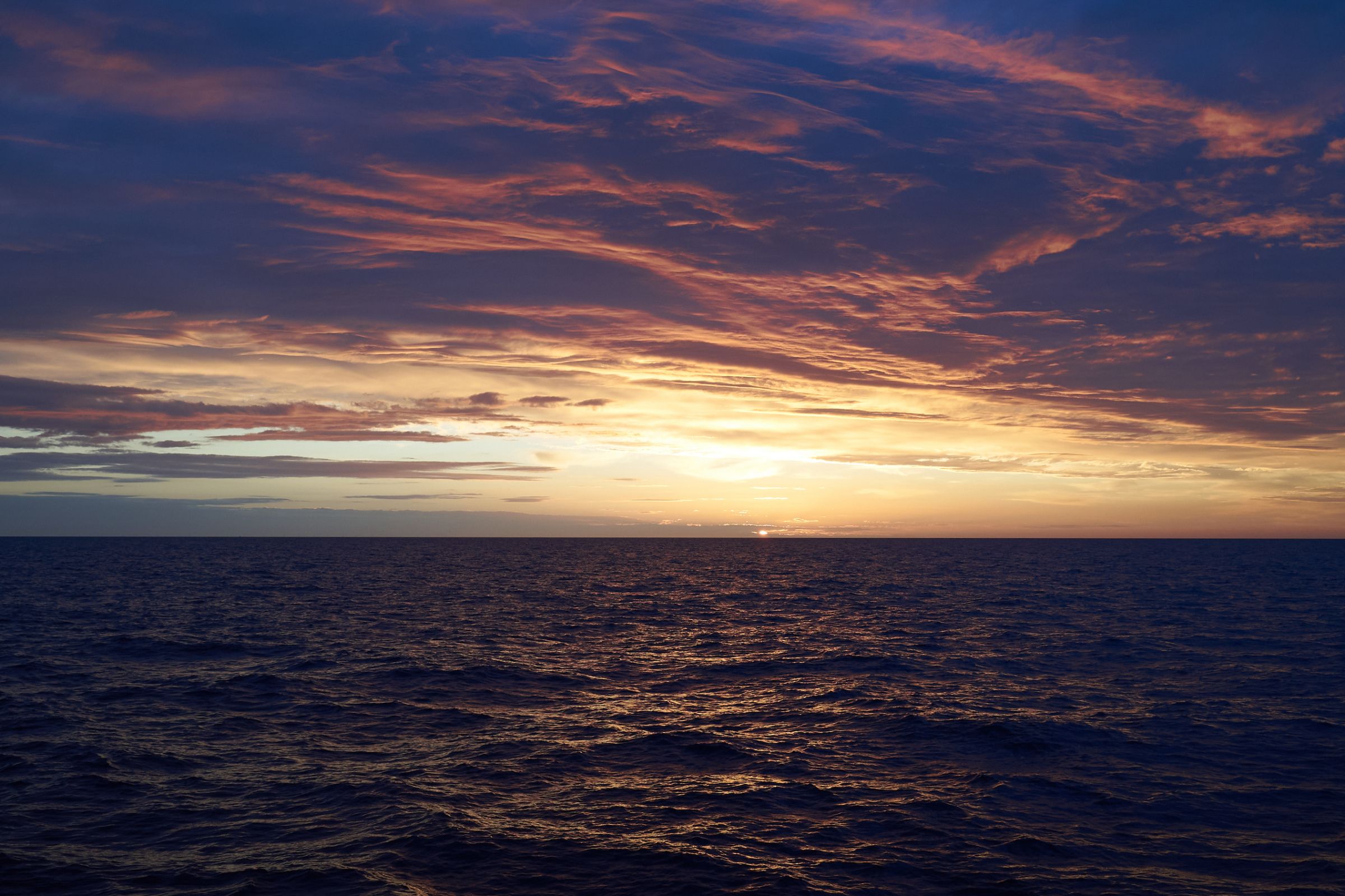 De wilde Noordzee (2024)