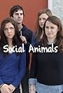 Social Animals (2011)