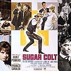 Sugar Colt (1966)