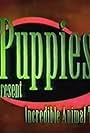 The Puppies Present Incredible Animal Tales (1998)