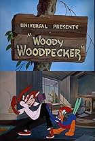 Woody Woodpecker