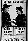 Gun Law (1919)