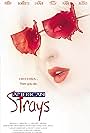 American Strays (1996)