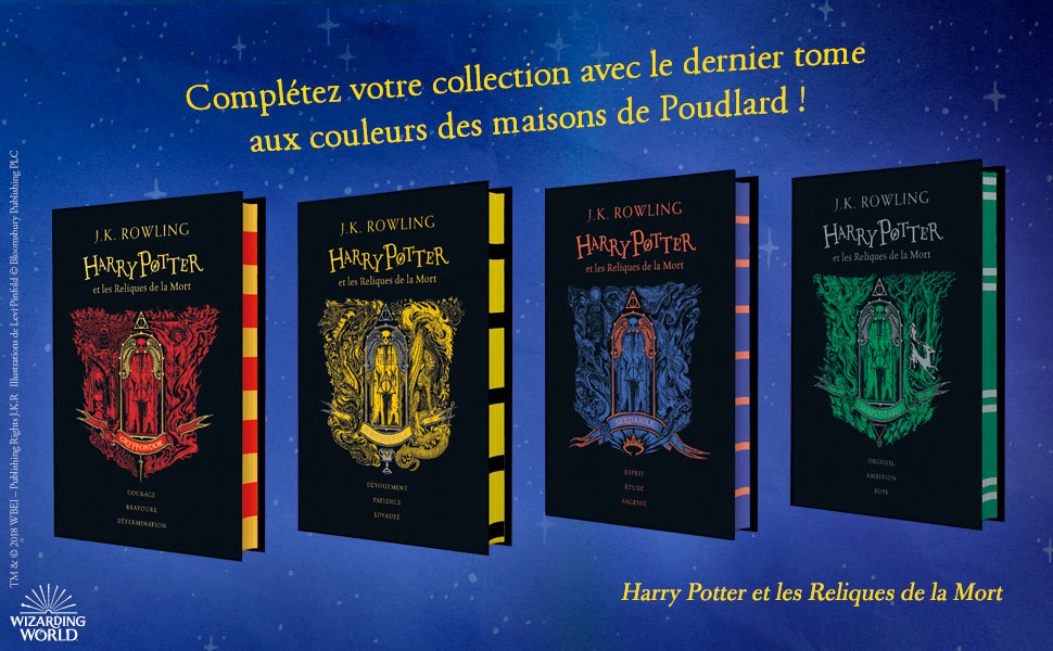 livre livres enfants 8 ans 9 ans 10 ans 11 ans 12 ans harry potter idée cadeau nouveautés