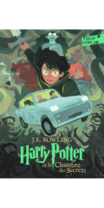 livre harry potter pour enfants 9 ans nouveautés idée cadeau magie fantasy fantastique