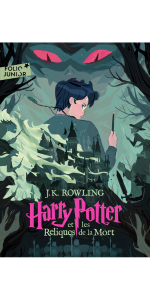 livre pour enfant harry potter nouveautés idée cadeau 8 ans 9 ans 10 ans 11 ans minalima