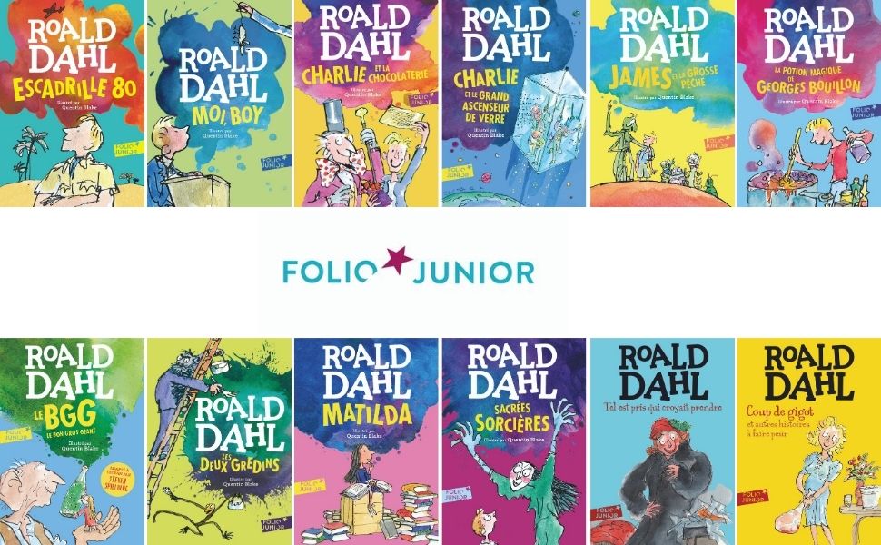 roald dahl, sacrées sorcières, livre enfant, livre école, livre collège, livre 9 ans