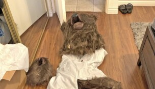 This photo provided by the California Department of Insurance shows a bear costume allegedly worn by suspects with the aim to commit insurance fraud