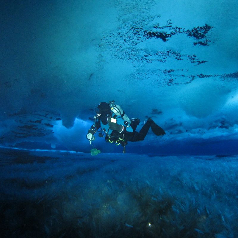 Amanda Frazier dives at Antarcticas Turtle Rock photo by Rob Robbins