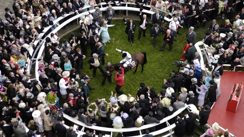 Motivator (4th June 2005) - winner of The Vodafone Derby Stakes (Group 1) at Epsom, trained by Michael Bell and ridden by Johnny Murtagh. 