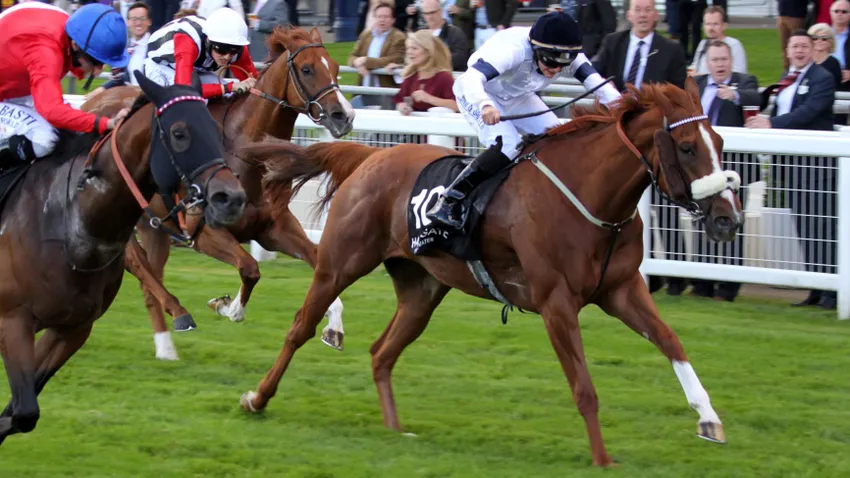  Symposium (30th September 2016) - winner of The Original Harrogate Water Handicap at Ascot, saddled by William Haggas and ridden by Josephine Gordon. 